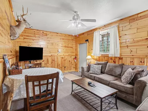 Living - 2771 Wurm Rd, Wolverine, MI 49799 photo 2 of 5