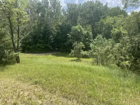 4400 Shook Rd, Wolverine, MI 49799 photo 5