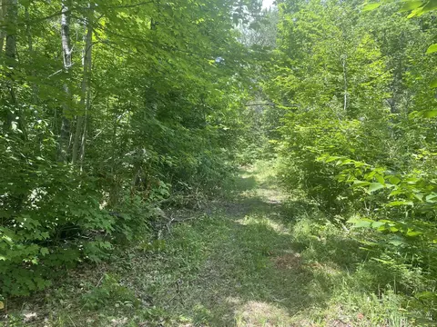 4400 Shook Rd, Wolverine, MI 49799 photo 21