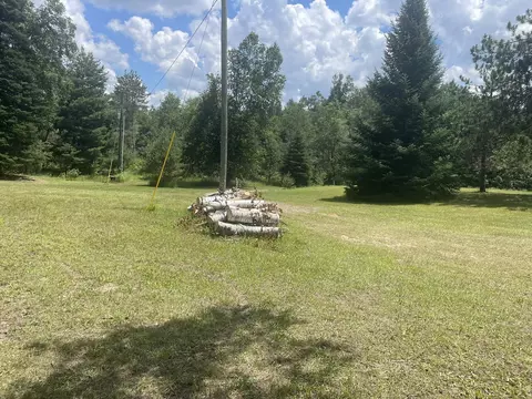 4400 Shook Rd, Wolverine, MI 49799 photo 18