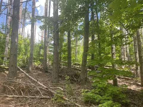 4400 Shook Rd, Wolverine, MI 49799 photo 20