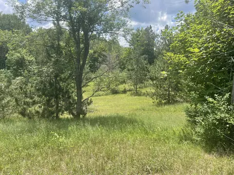 4400 Shook Rd, Wolverine, MI 49799 photo 4