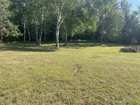 4400 Shook Rd, Wolverine, MI 49799 photo 10