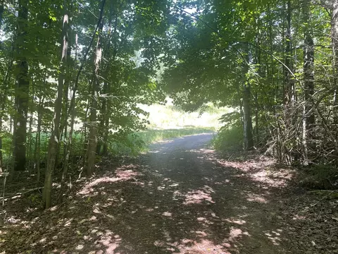 4400 Shook Rd, Wolverine, MI 49799 photo 9