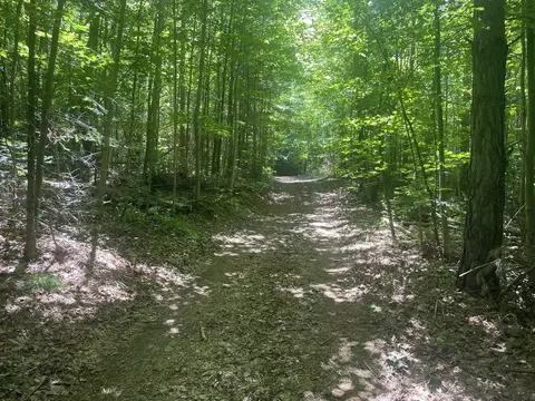 4400 Shook Rd, Wolverine, MI 49799 photo 14