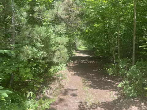 4400 Shook Rd, Wolverine, MI 49799 photo 8