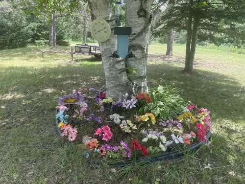 4400 Shook Rd, Wolverine, MI 49799 photo 11