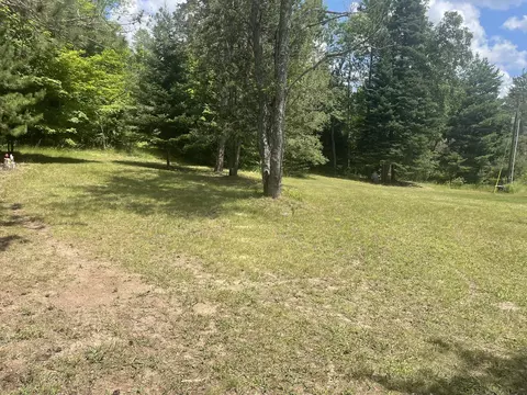 4400 Shook Rd, Wolverine, MI 49799 photo 19