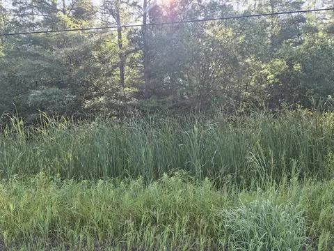 V/l Eagle Point Road, Grayling, MI 49738 photo 6