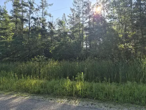 V/l Eagle Point Road, Grayling, MI 49738 photo 4