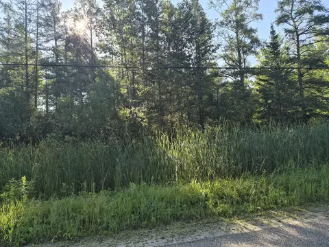 V/l Eagle Point Road, Grayling, MI 49738 photo 5