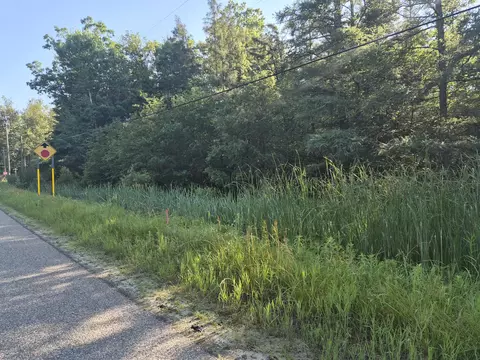 V/l Eagle Point Road, Grayling, MI 49738 photo 7