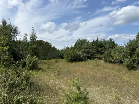 1637 Mcgregor Rd, Vanderbilt, MI 49795 photo 9