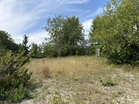 1637 Mcgregor Rd, Vanderbilt, MI 49795 photo 15