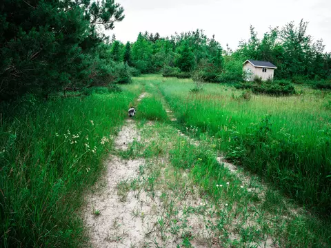 1637 Mcgregor Rd, Vanderbilt, MI 49795 photo 30