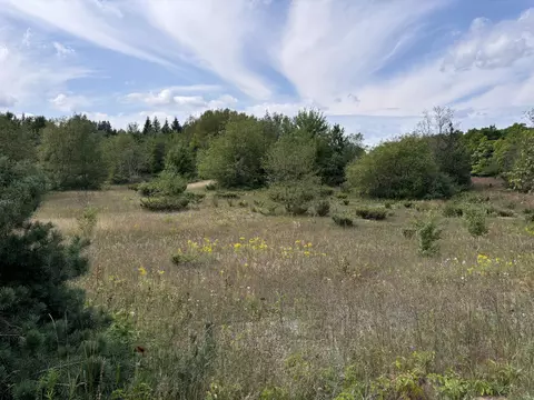 1637 Mcgregor Rd, Vanderbilt, MI 49795 photo 13