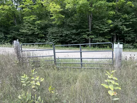 1637 Mcgregor Rd, Vanderbilt, MI 49795 photo 17