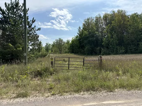 1637 Mcgregor Rd, Vanderbilt, MI 49795 photo 18