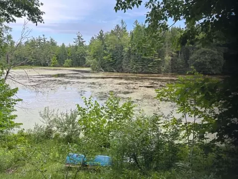View/Area - Undisclosed, Mio, MI 48647 photo 4 of 4