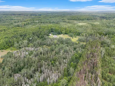 View/Area - 8489 Watson Rd, Wolverine, MI 49799 photo 9 of 11