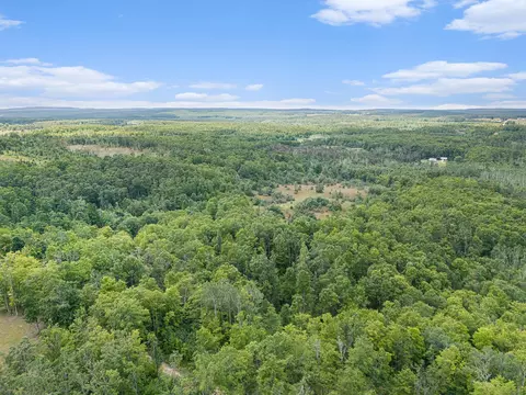 View/Area - 8489 Watson Rd, Wolverine, MI 49799 photo 4 of 11