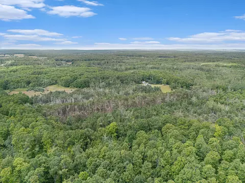 View/Area - 8489 Watson Rd, Wolverine, MI 49799 photo 8 of 11