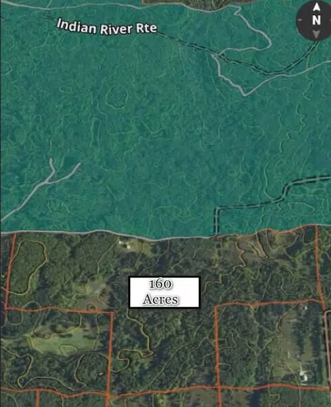 Other - 8489 Watson Rd, Wolverine, MI 49799 photo 8 of 9
