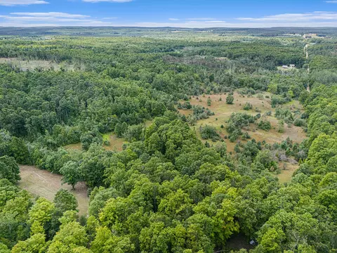 View/Area - 8489 Watson Rd, Wolverine, MI 49799 photo 6 of 11