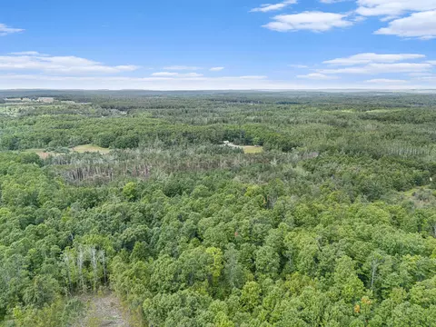 View/Area - 8489 Watson Rd, Wolverine, MI 49799 photo 7 of 11