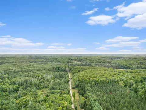 View/Area - 8489 Watson Rd, Wolverine, MI 49799 photo 11 of 11