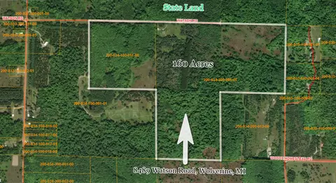 Other - 8489 Watson Rd, Wolverine, MI 49799 photo 7 of 9