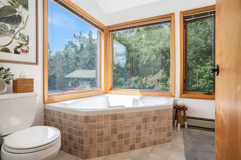 Bath - 8489 Watson Rd, Wolverine, MI 49799 photo 3 of 4