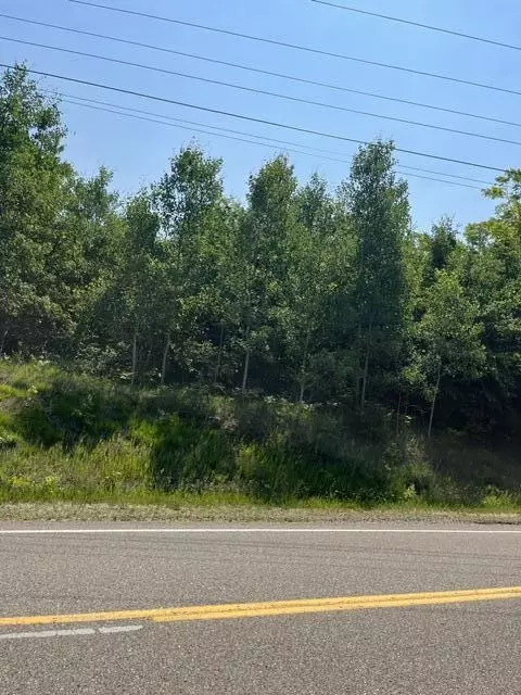10 N Ac N Sherman Rd, Frederic, MI 49733 photo 9