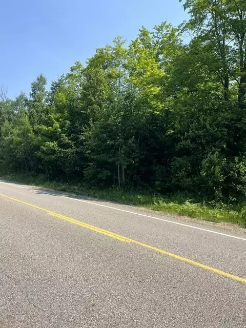 10 N Ac N Sherman Rd, Frederic, MI 49733 photo 7