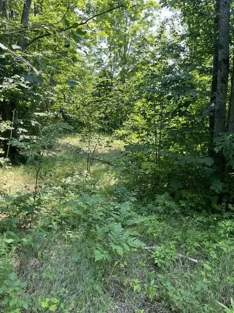 10 N Ac N Sherman Rd, Frederic, MI 49733 photo 4