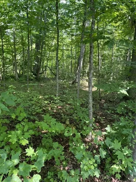 10 N Ac N Sherman Rd, Frederic, MI 49733 photo 6