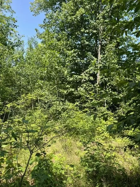 10 N Ac N Sherman Rd, Frederic, MI 49733 photo 5