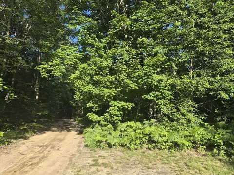 Exterior - 10870 Sutters Mill Rd, Frederic, MI 49733 photo 16 of 19