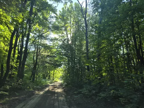 Other - 10870 Sutters Mill Rd, Frederic, MI 49733 photo 30 of 31