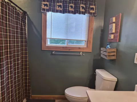 Bath - 10870 Sutters Mill Rd, Frederic, MI 49733 photo 5 of 8