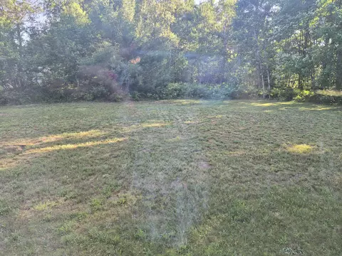 Exterior - 10870 Sutters Mill Rd, Frederic, MI 49733 photo 11 of 19