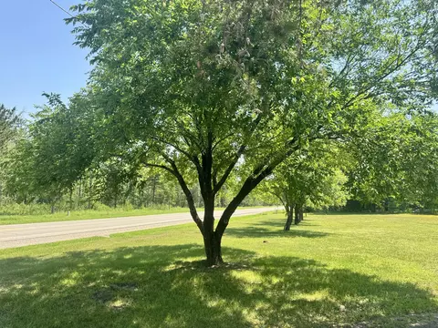 Other - 773 Ryno Rd, Luzerne, MI 48636 photo 7 of 15