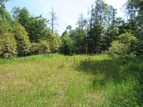 VL Shepherds Trail #10 ACRES, Roscommon, MI 48653 photo 46
