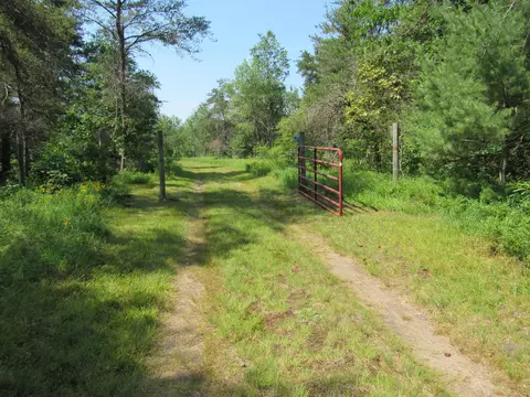 VL Shepherds Trail #10 ACRES, Roscommon, MI 48653 photo 45