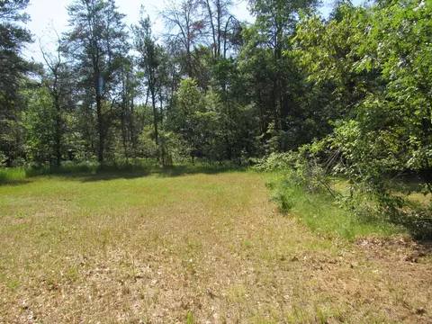 VL Shepherds Trail #10 ACRES, Roscommon, MI 48653 photo 15