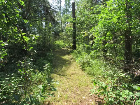 VL Shepherds Trail #10 ACRES, Roscommon, MI 48653 photo 7