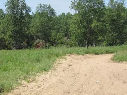 VL Shepherds Trail #10 ACRES, Roscommon, MI 48653 photo 49