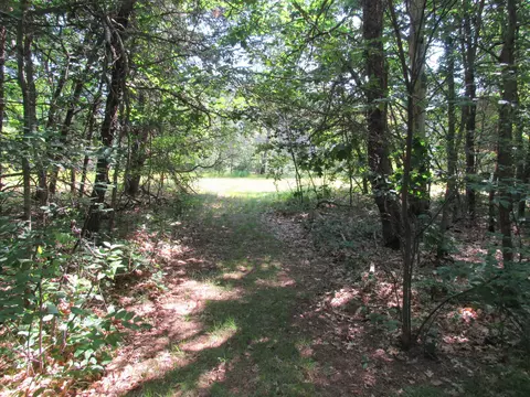 VL Shepherds Trail #10 ACRES, Roscommon, MI 48653 photo 43