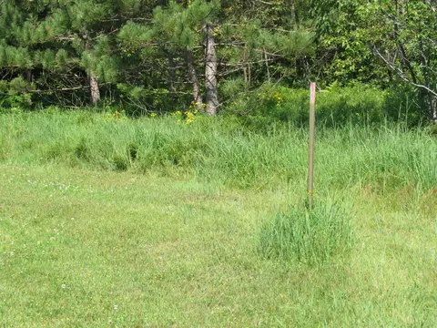 VL Shepherds Trail #10 ACRES, Roscommon, MI 48653 photo 11