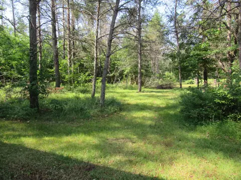 VL Shepherds Trail #10 ACRES, Roscommon, MI 48653 photo 9